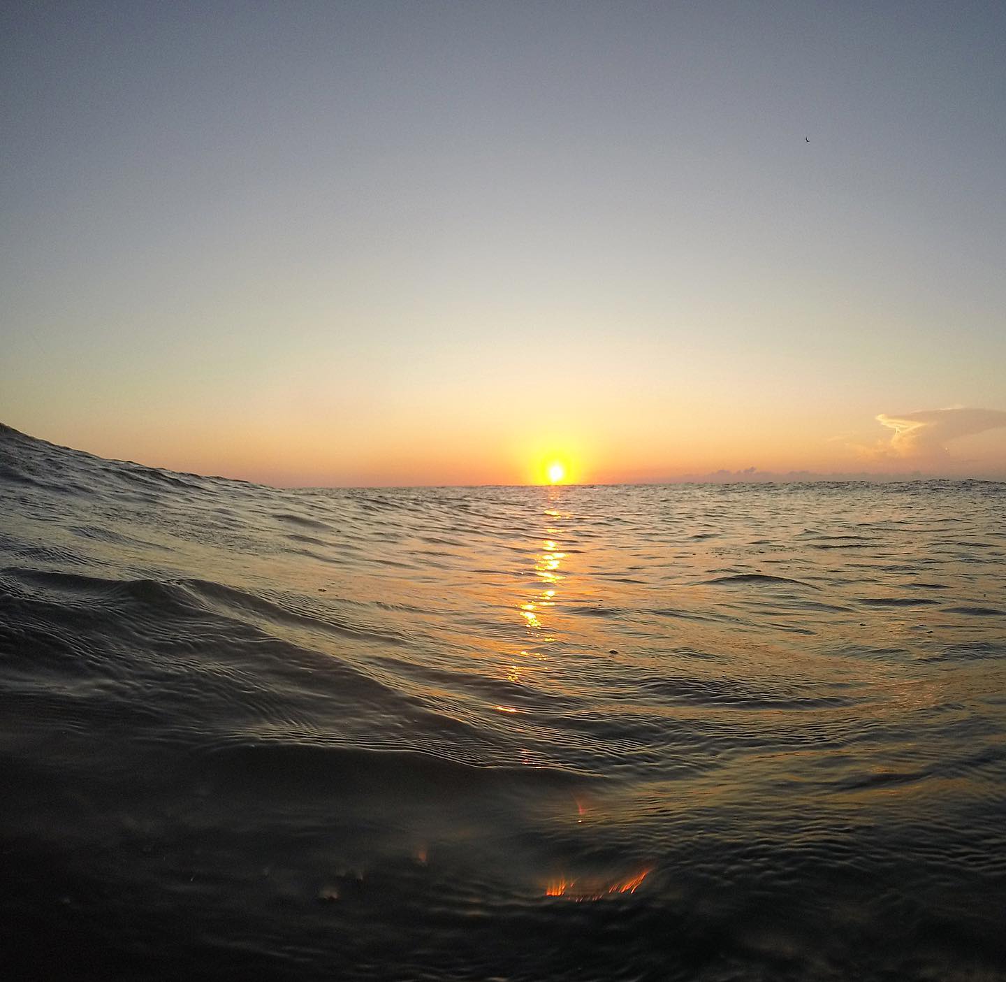 ocean sunrise