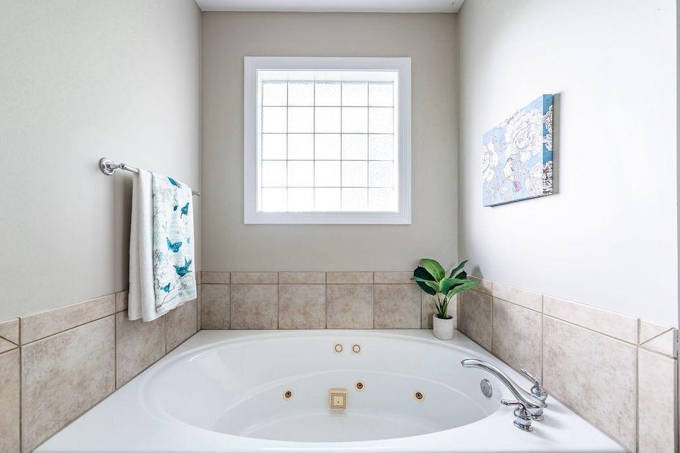 Master bathroom tub