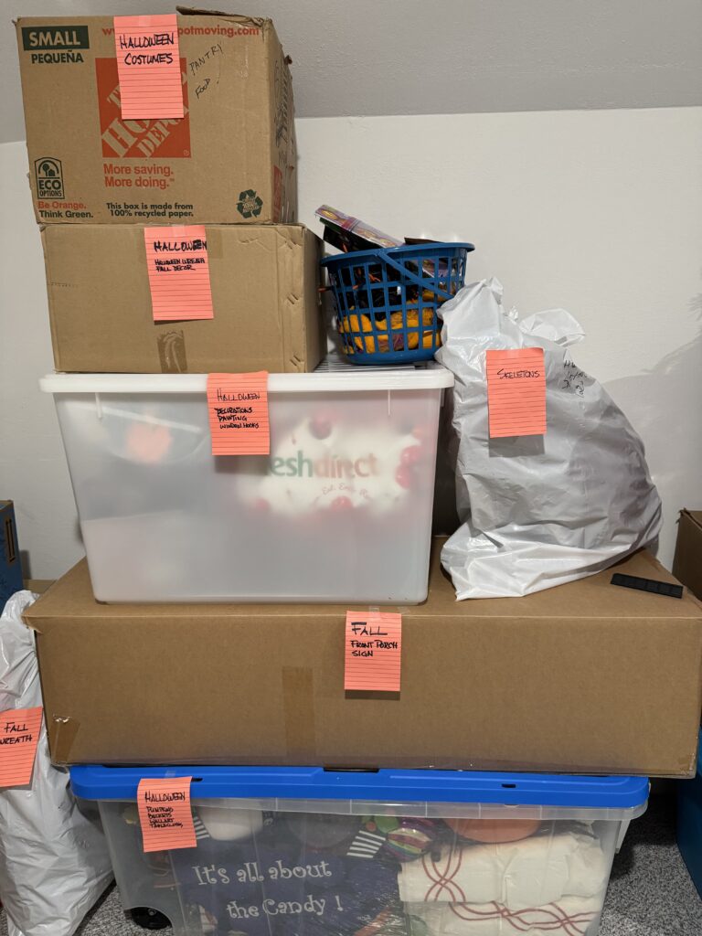 Fall Organizing Services